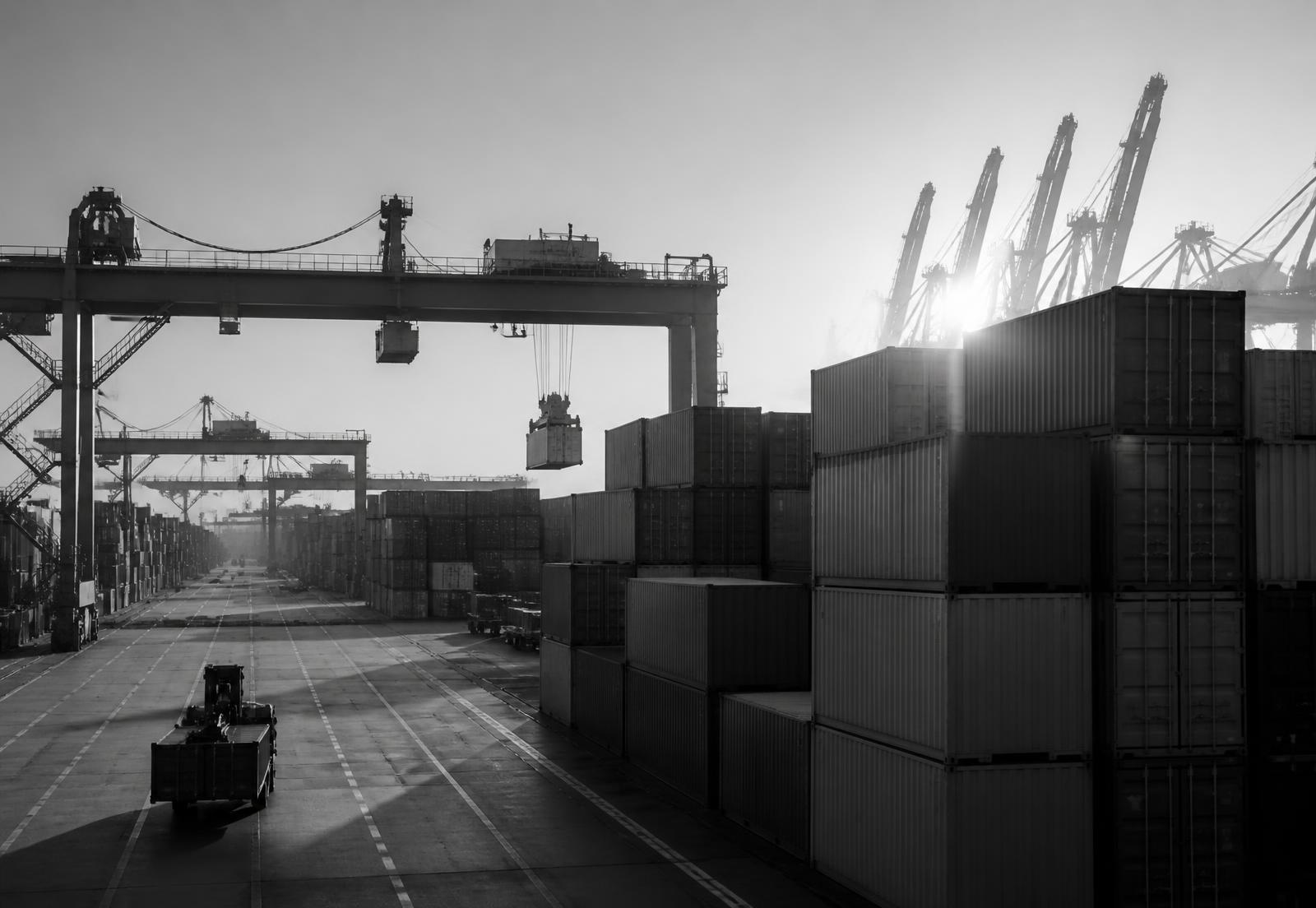 Container terminal with gantry cranes loading freight